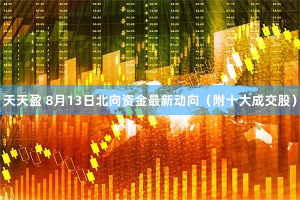 天天盈 8月13日北向资金最新动向（附十大成交股）